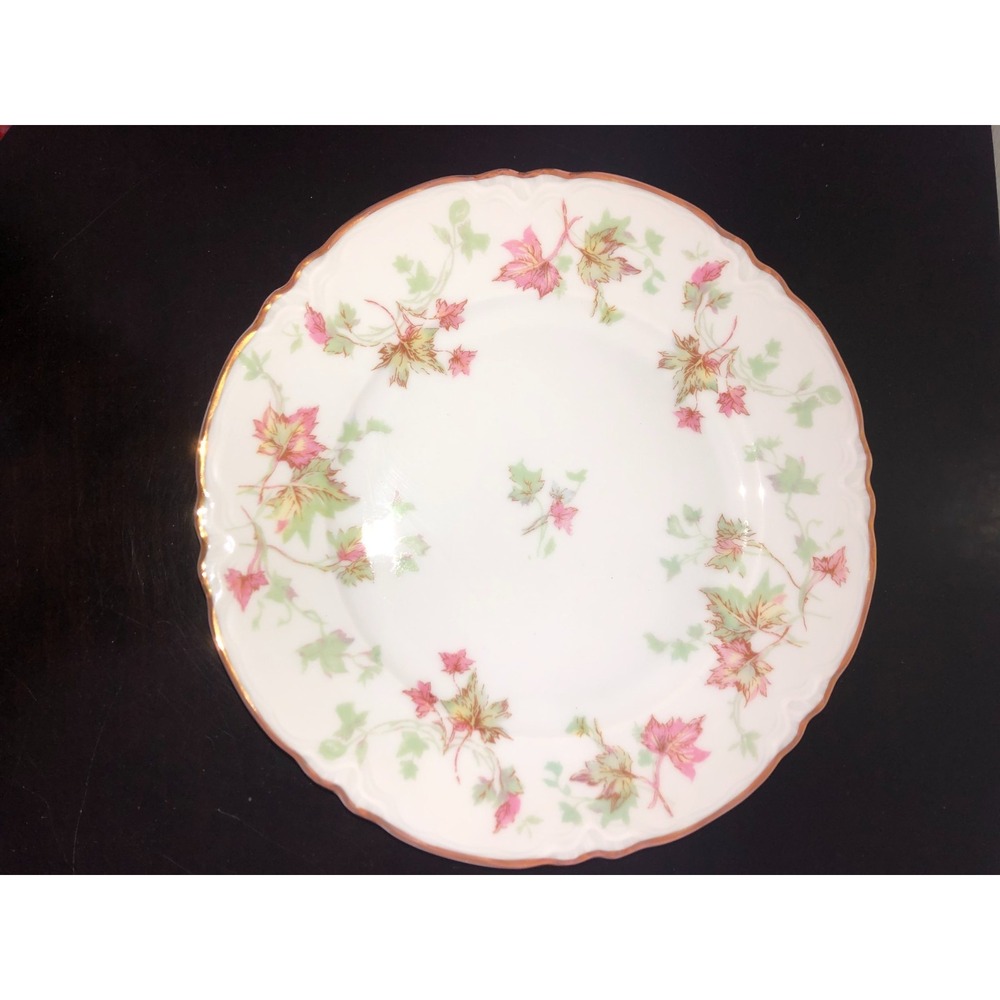 VINTAGE Hutschenreuther Bavaria Maple Salad Plate 7578 - 7.5", Germany #19 EUC!